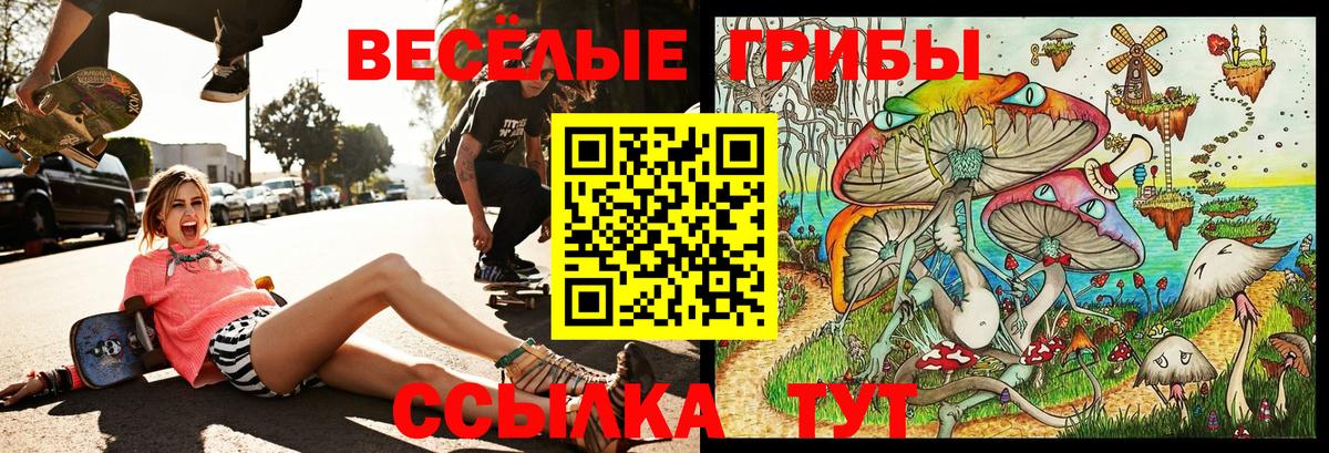 Галлюциногенные грибы мухоморы Кузнецк